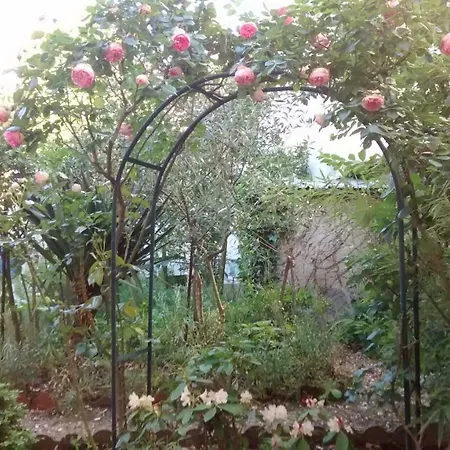 Le Petit Mansart * Versailles